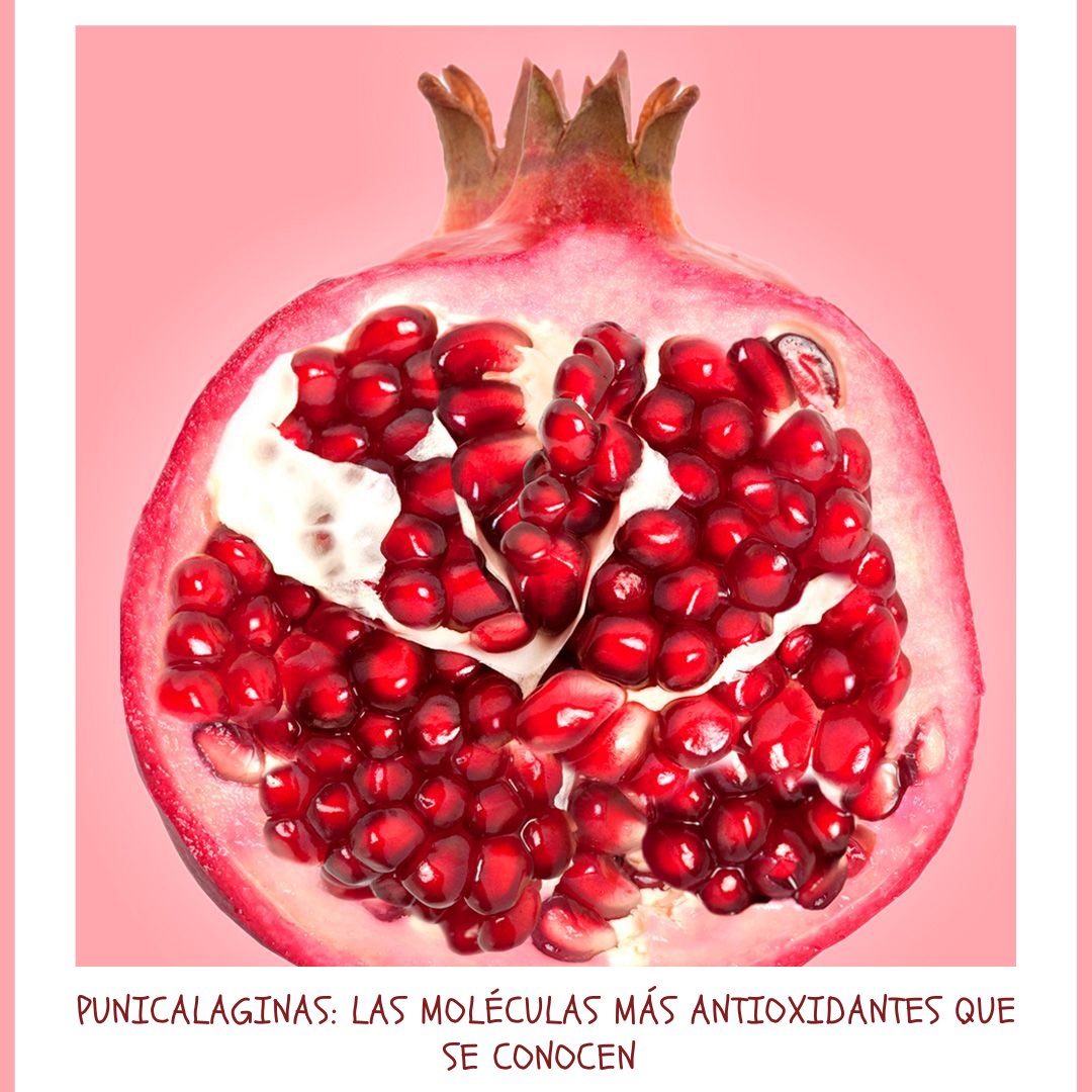 probeltepharma's tweet photo. Las #punicalaginas son polifenoles de la granada que se encuentran en mayor concentración en las membranas y la cáscara de dicha fruta, por lo que consumir el extracto de este #antioxidante, es más beneficioso que tomar de postre una granada. https://t.co/FaqDlCG3Cg