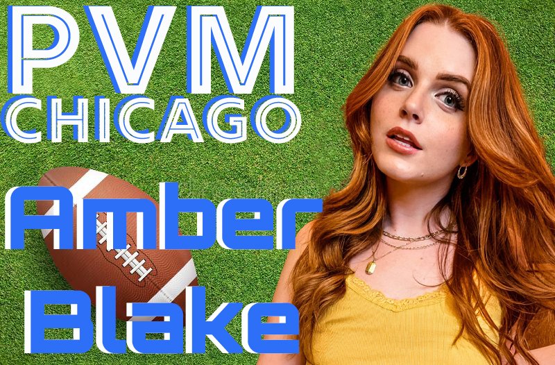TW Pornstars 1 pic. PVMChicago. Twitter. Porn Valley Media’s 2022 NFL
