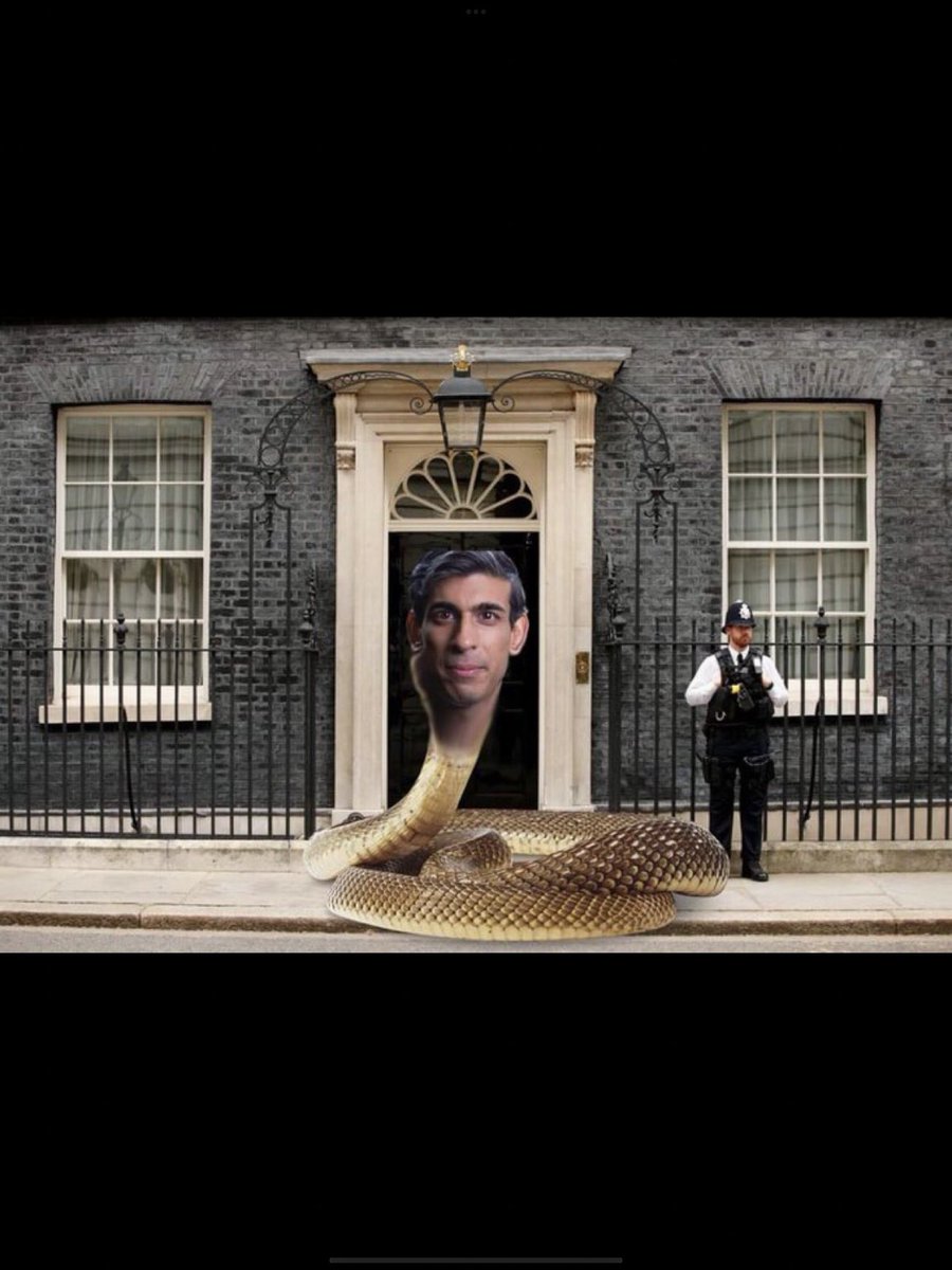 #NeverRishiSunak ⁦<a href="/RishiSunak/">Rishi Sunak</a>⁩ You’re not wanted! Backstabbing 🐍