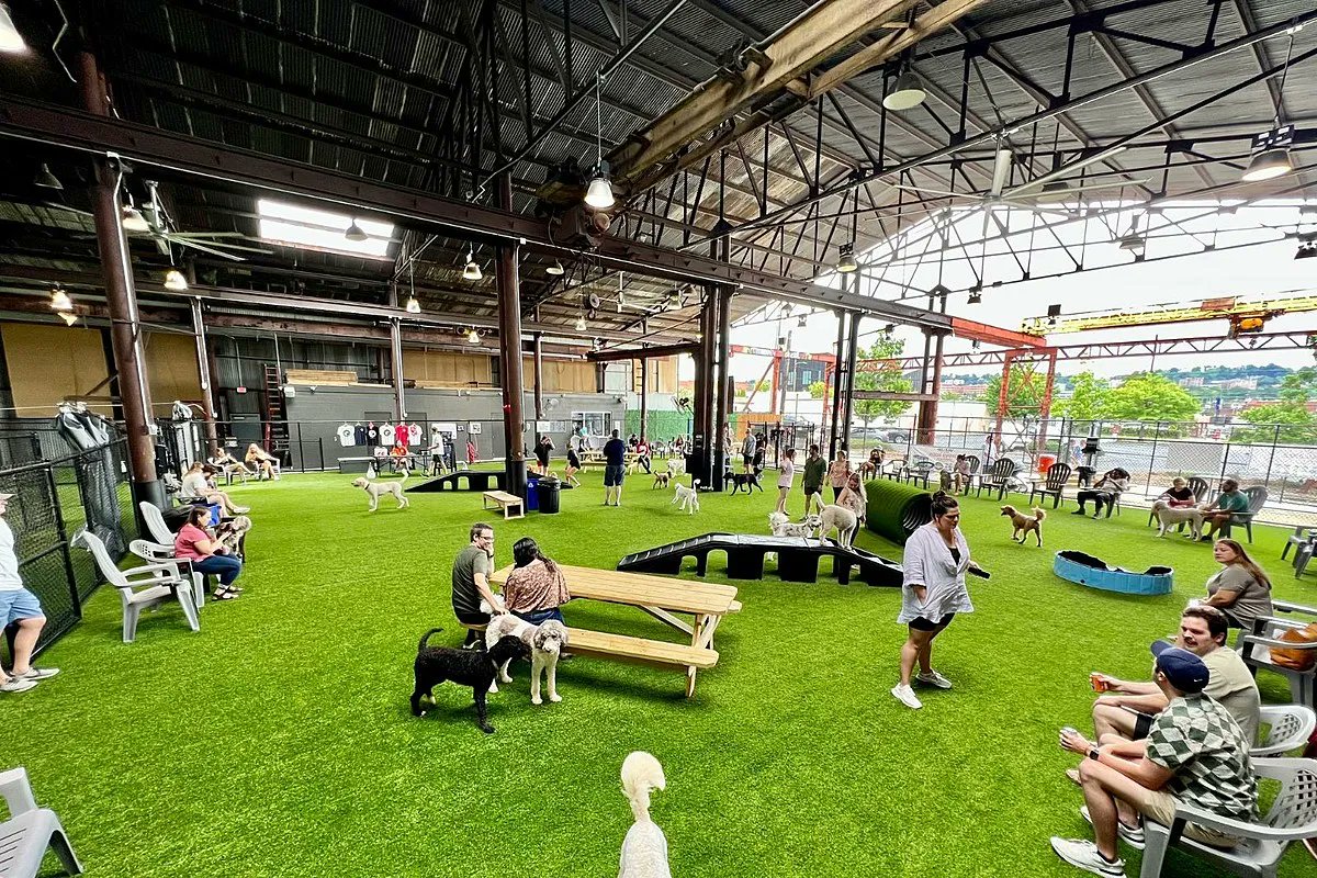 Good Dog Bar and Dog Park, already a hit in Birmingham and Auburn, will open a new 15,000-square-foot venue in Tuscaloosa that will offer covered turf space, grooming, boarding, daycare for pups and a bar for humans.

 tuscaloosathread.com/good-dog-comin…