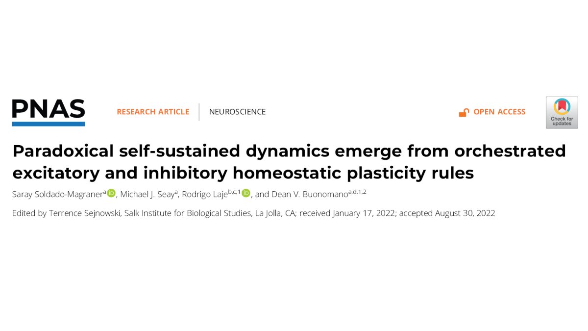 saraysoldado's tweet image. Our new paper is out!
“Paradoxical self-sustained dynamics emerge from orchestrated excitatory and inhibitory homeostatic plasticity rules”
pnas.org/doi/abs/10.107…
Amazing work with @DeanBuono @rodlaje @mikejseay
THREAD! #paradoxicaleffect 1/10
