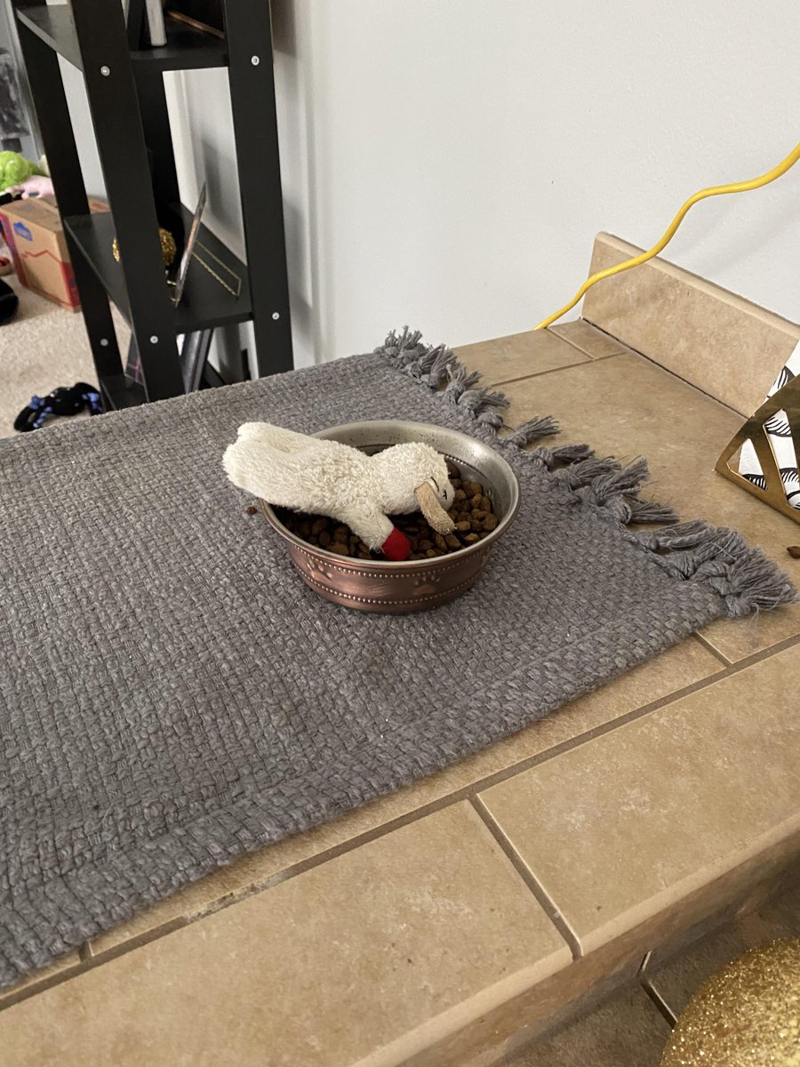 Michael's Cat tweet media