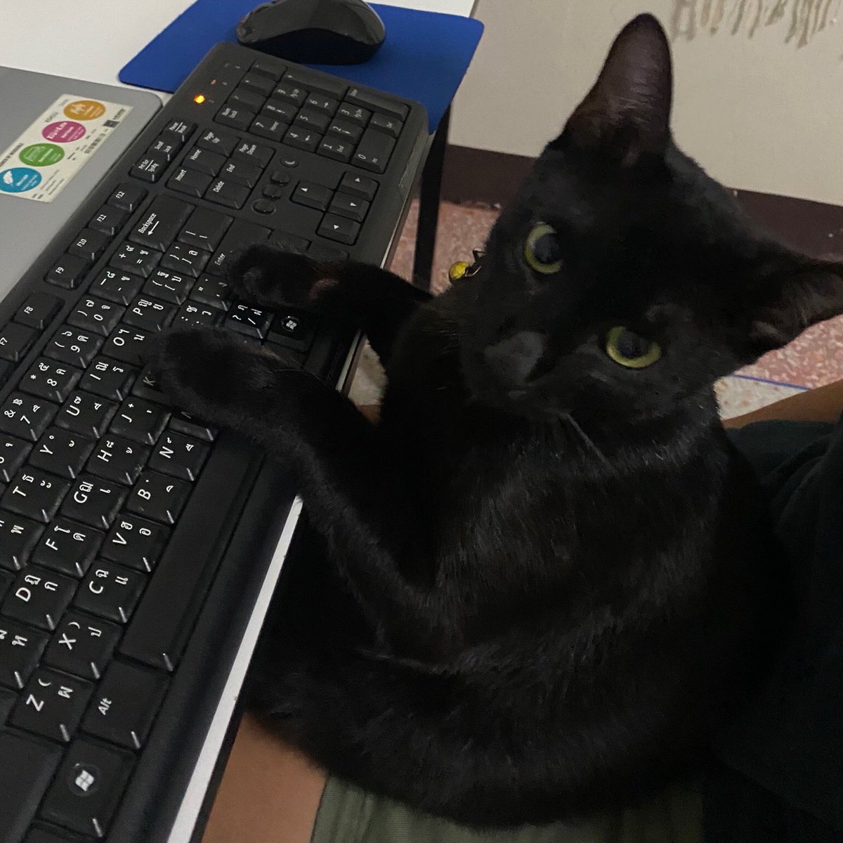 hyun tweet media