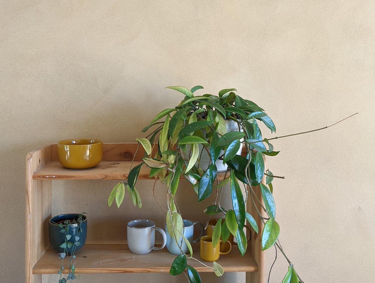 Hawkland tweet media