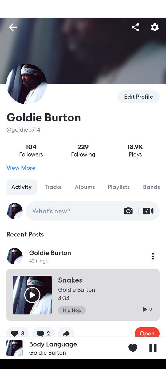 GoldieB09392559's tweet image. Look me up on Bandlab, for the real music heads, #100mill
