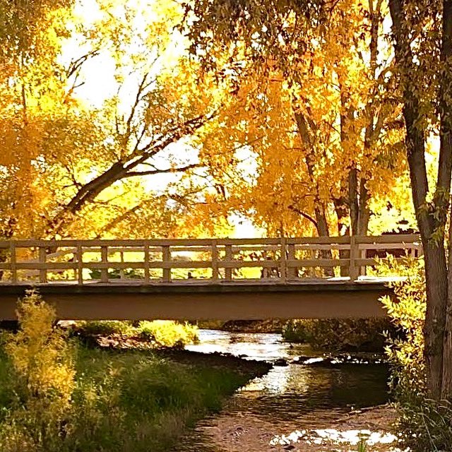 ThePowderHornWY's tweet photo. Fall is bustin’ out all over at The Powder Horn Golf Community in Sheridan, Wyoming! Thanks to our Tennis Pro Huntley McNab for capturing this beautiful autumn moment. #golflife #wyoming https://t.co/IazlecN2mC
