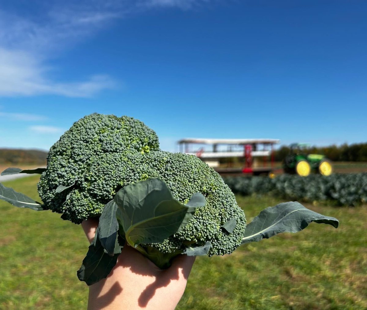 OBERLAND tweet media