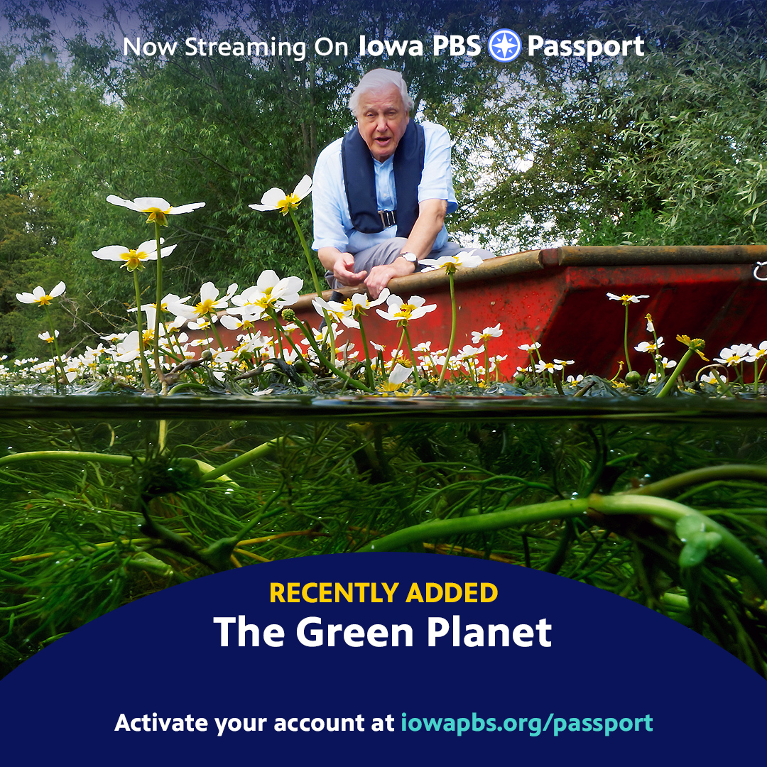 Travel around the globe to reveal the secret lives of plants with Sir David Attenborough. Stream The Green Planet with Iowa PBS Passport. >> pbs.org/show/green-pla…