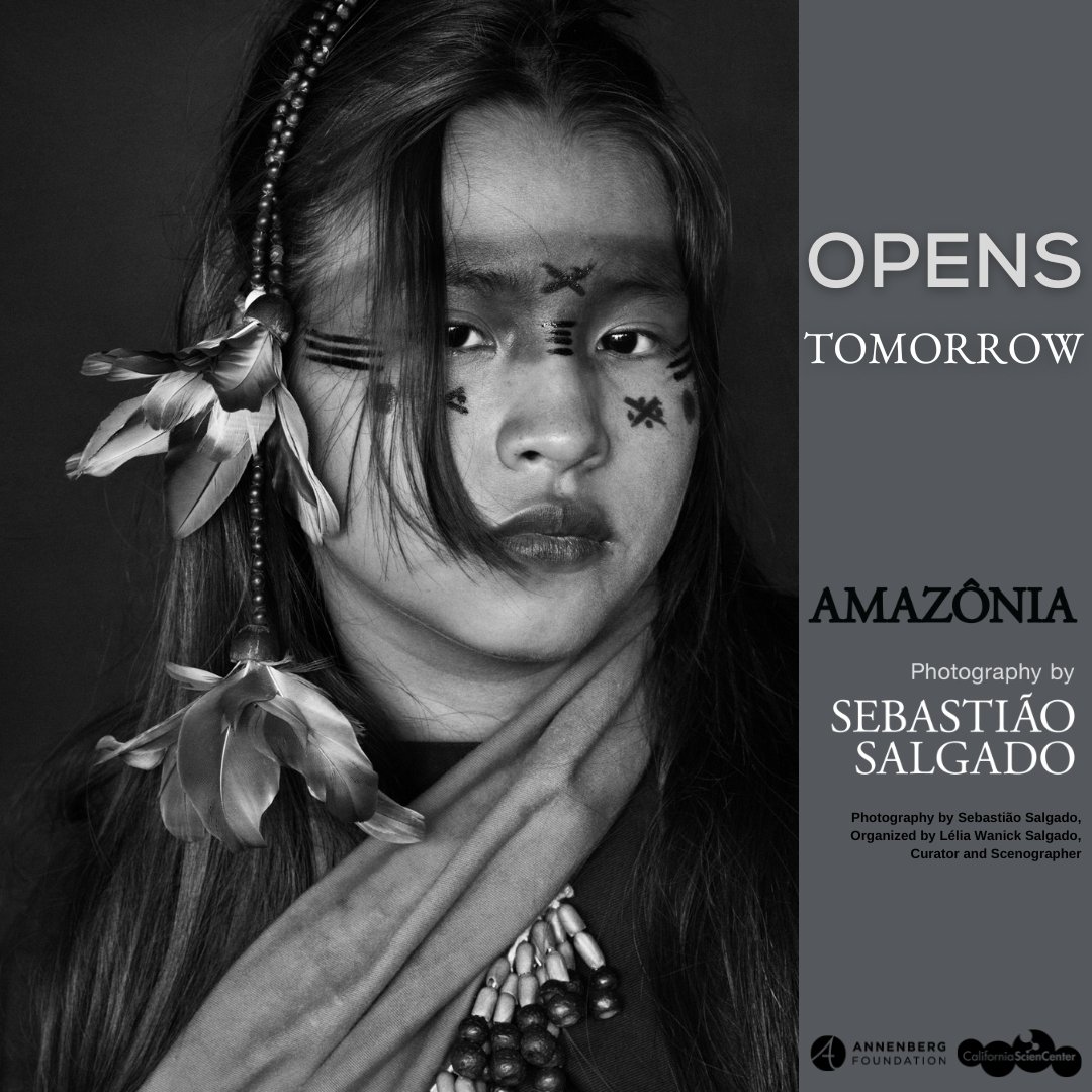 The wait is almost over! #Amazônia opens tomorrow at the California Science Center, featuring more than 200 photographs by world-renowned Brazilian photojournalist Sebastião Salgado: bit.ly/3D5n9uL. #ArtistsForAmazonia