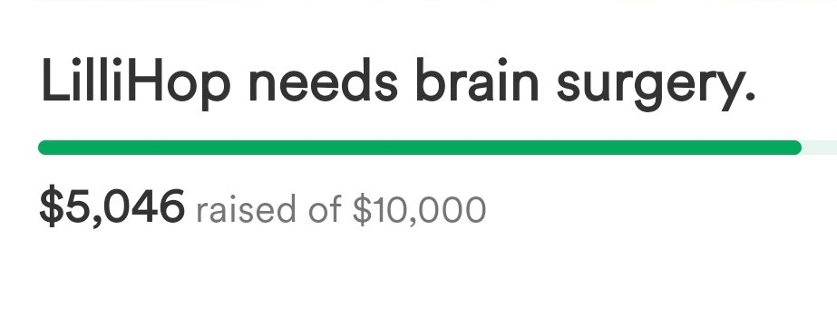 In just 4 days the <a href="/NoMansSky/">Sean Murray</a> community has worked together to reach 50% of the goal. I'm more proud of my fellow Interlopers than ever before. The speed run to Lilli's health continues!