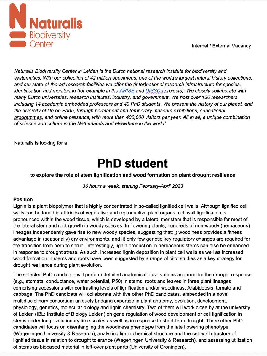 Part 1: 📢Looking for a new 4y PhD position on plant hydraulics and anatomy, embedded in a new consortium with 5 other PhDs working on diverse aspects of wood formation and lignification. Apply before Nov 15: form.jotform.com/222862425674360 @Naturalis_Sci @LeidenBiology @SalmaBalazadeh