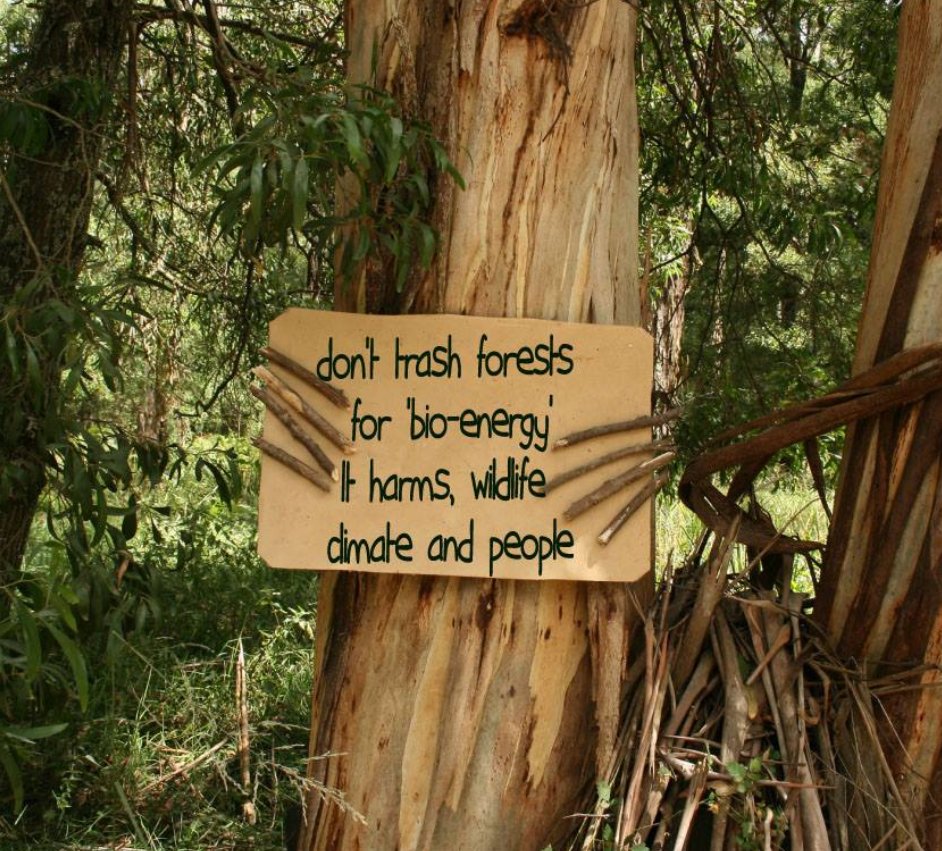 Environmental Paper Network tweet media