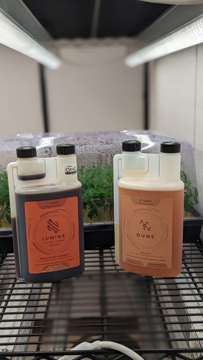 Impello Biosciences tweet media