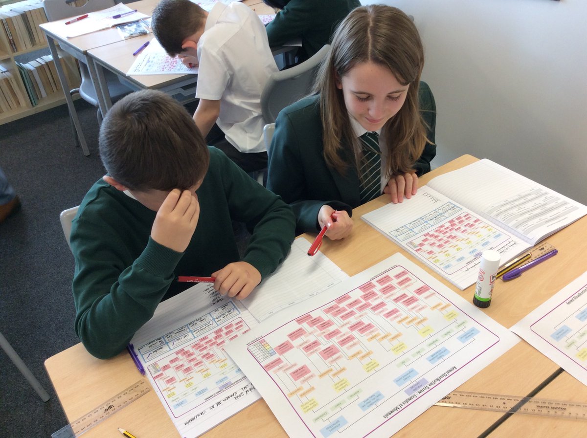 Year 6 have been working really hard in science. We have been learning about Carl Linnaeus and his classification system as part of our classifying organisms unit. 🔍📚 <a href="/BedfordScience1/">Bedford Drive Science</a> <a href="/ScienceBedford/">Bedford Science</a>