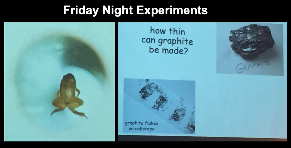 An inspiring message for tonight. Andre Geim talks at #ICEAN2022 about his Friday night experiments that led to the 2000 #IgNobel and 2010 #Nobel prizes in #Physics.  #FundamentalScience