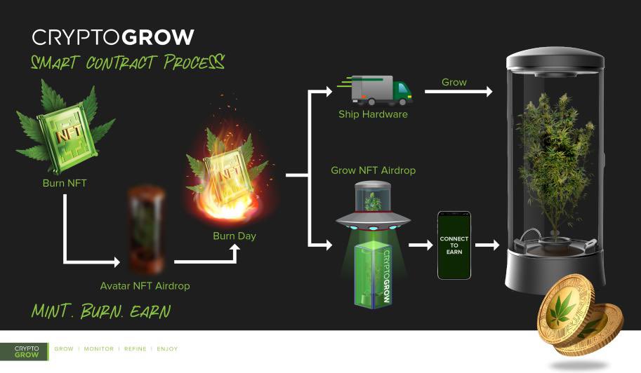 CryptoGrow NFT tweet media