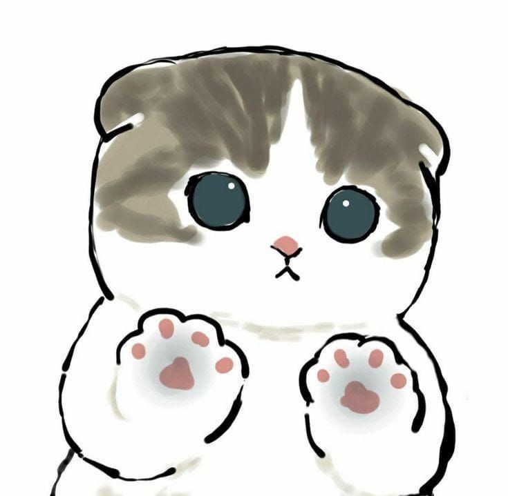 ㅤㅤ/⁠ᐠ⁠｡⁠ꞈ⁠｡⁠ᐟ⁠\ Gatinhos para adoção! 
Venha ajudar a achar um lar para esses fofuxos!