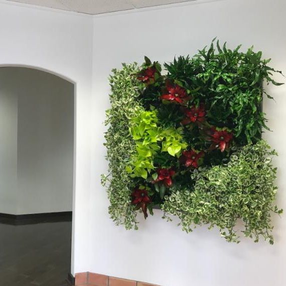 InsidePlants's tweet photo. https://t.co/MzEgBtepmE https://t.co/QMjZvEaRxE