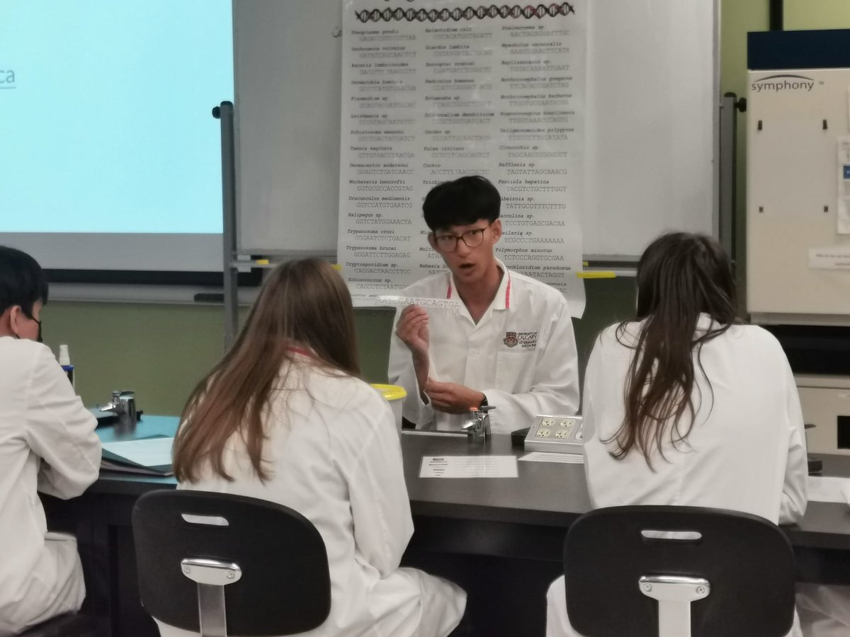 Micky (Sangwook) Ahn tweet media