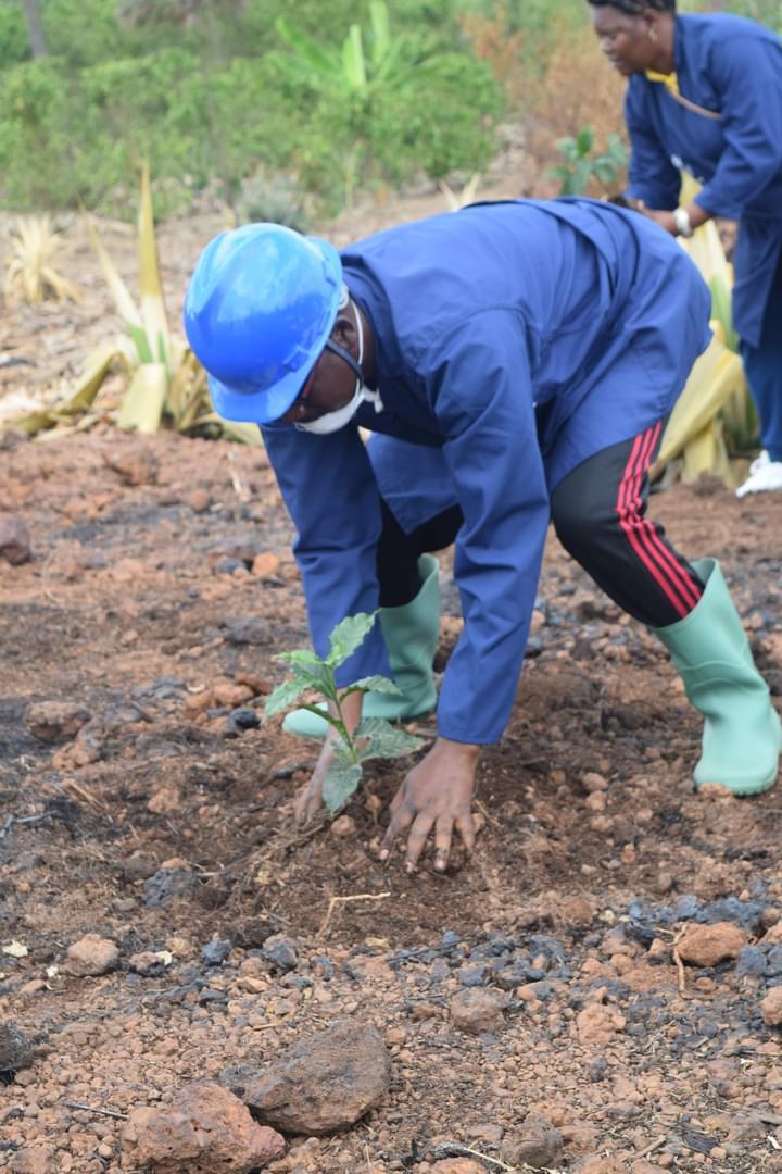 Gitega's tweet photo. #Burundi Kuri uyu wa 20/10/2022, Ubushikiranganji bwa @BMineagrie bwuguruye icese isekeza ryo gupompa,gufumbira no gutera imivyaro mishasha y'ikawa mu gihugu cose.Uwo mugirwa wabereye I @Gitega muri komine #Giheta umutumba #Gihuga https://t.co/xN8M1GEzsE