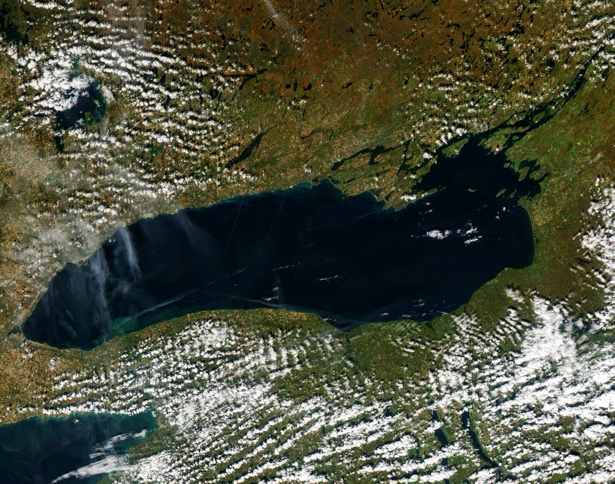 NOAA_GLERL's tweet photo. It wouldn't be #October in the #GreatLakes w/out #FallColorFriday! These recent MODIS satellite pics show #fallcolors spreading across northern MI, around #LakeHuron's Georgian Bay, & north of #LakeOntario. https://t.co/bksbp9iixc
#LakeSuperior @NOAAResearch @CIGLR_UM @RealGLOS https://t.co/RQofTTzRWH