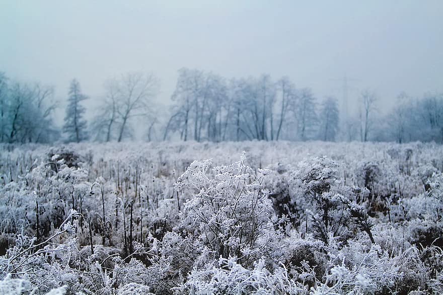 cuddleupcabins's tweet photo. Are enjoying the freeezing cold morning temperatures? https://t.co/CZlyatALP0