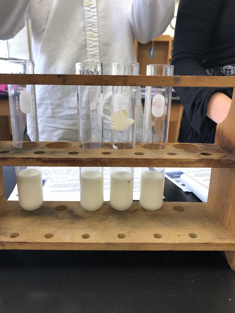 STMsrichards's tweet photo. Lactaid and lactose lab - senior Bio class https://t.co/sDhPHxZlV0