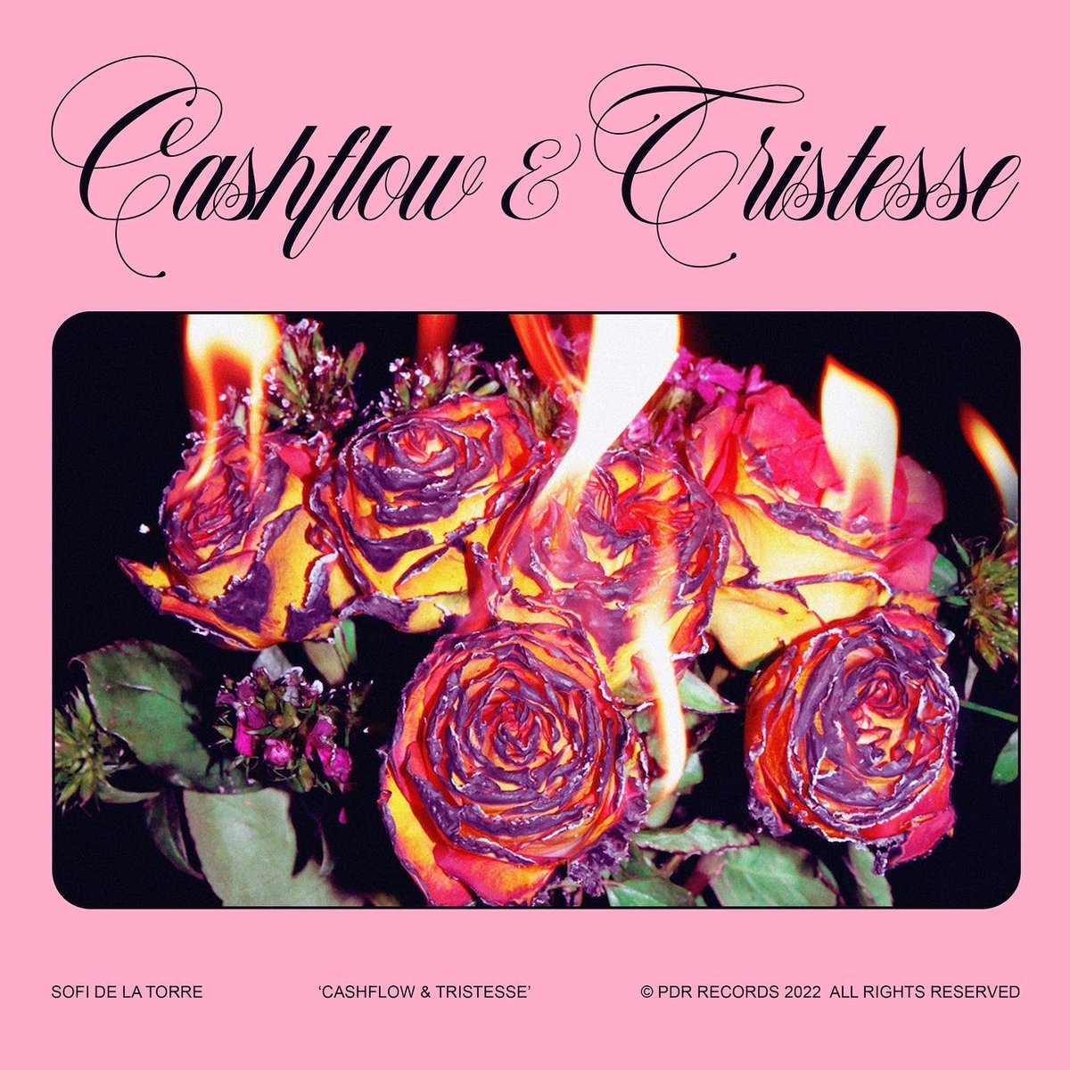 SOFI DE LA TORRE tweet media