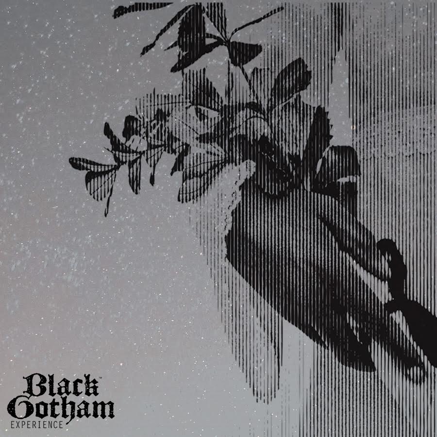 Dropping Fall Season 2022 - mailchi.mp/kamaustudios/a…