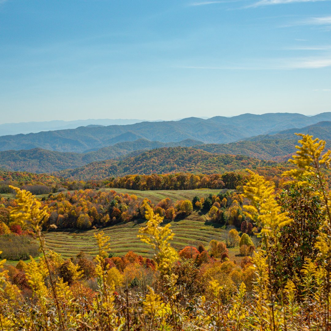 NC Smoky Mountains tweet media