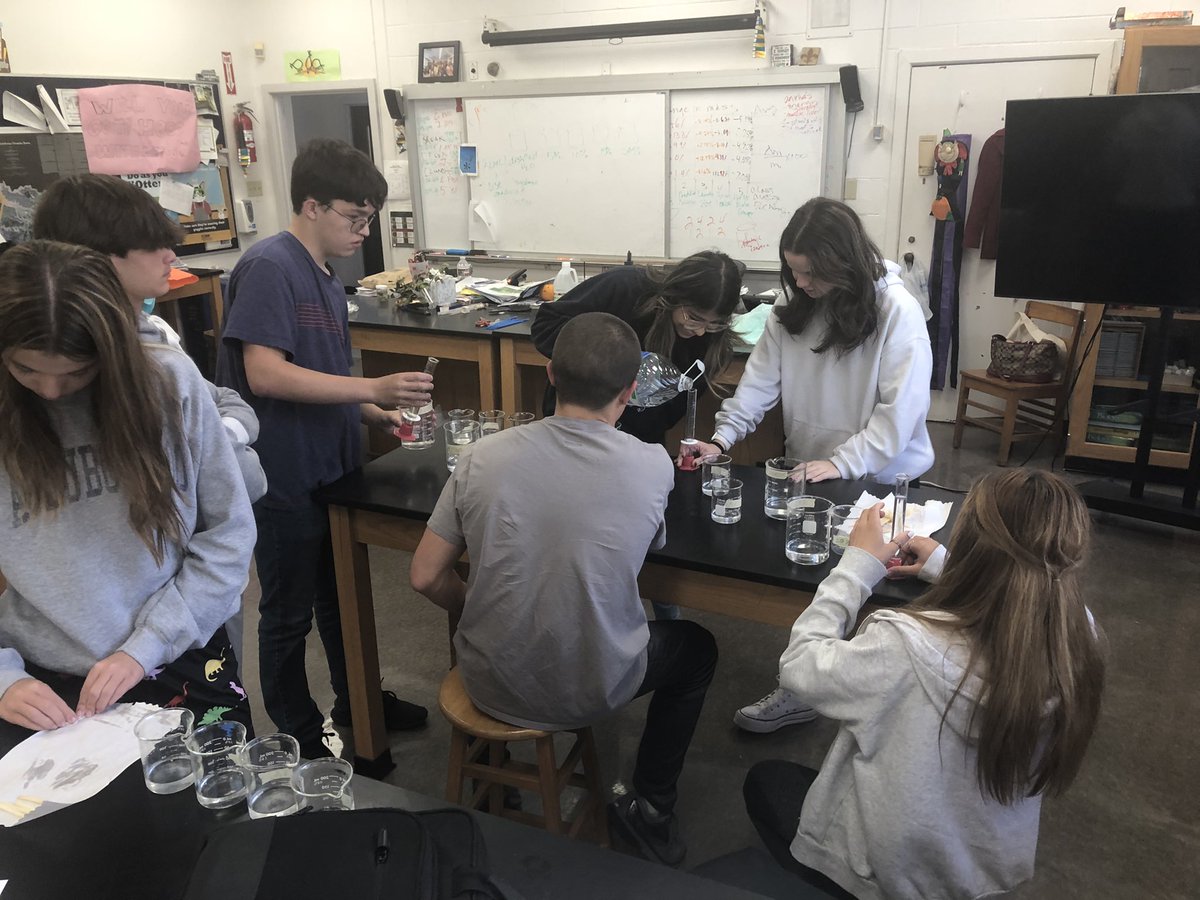 STMsrichards's tweet photo. Freshman Bio lab - osmosis and diffusion https://t.co/pNmCGAB66k