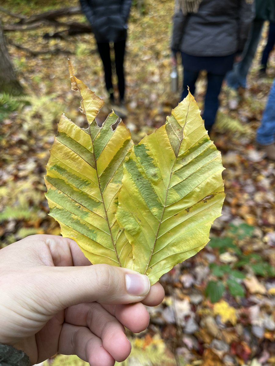 Finger Lakes-PRISM tweet media