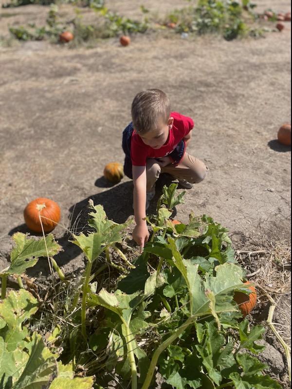 Our amazing kinder Ss had the opportunity to visit the Pumpkin patch today!