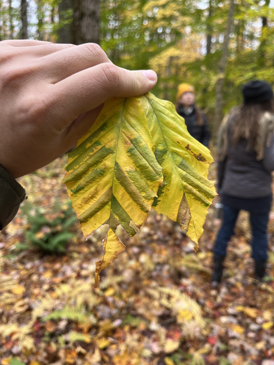 Finger Lakes-PRISM tweet media
