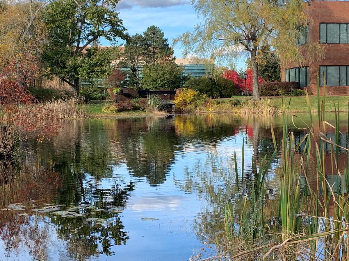 Bryant University (@bryantuniv) on Twitter photo Join us here for <a href="/BryantAdmission/">Bryant Admission</a> Open House, Saturday, Oct. 22. There is still time to register: explore.bryant.edu/portal/visitca…
See you soon! Join us here for <a href="/BryantAdmission/">Bryant Admission</a> Open House, Saturday, Oct. 22. There is still time to register: explore.bryant.edu/portal/visitca…
See you soon!