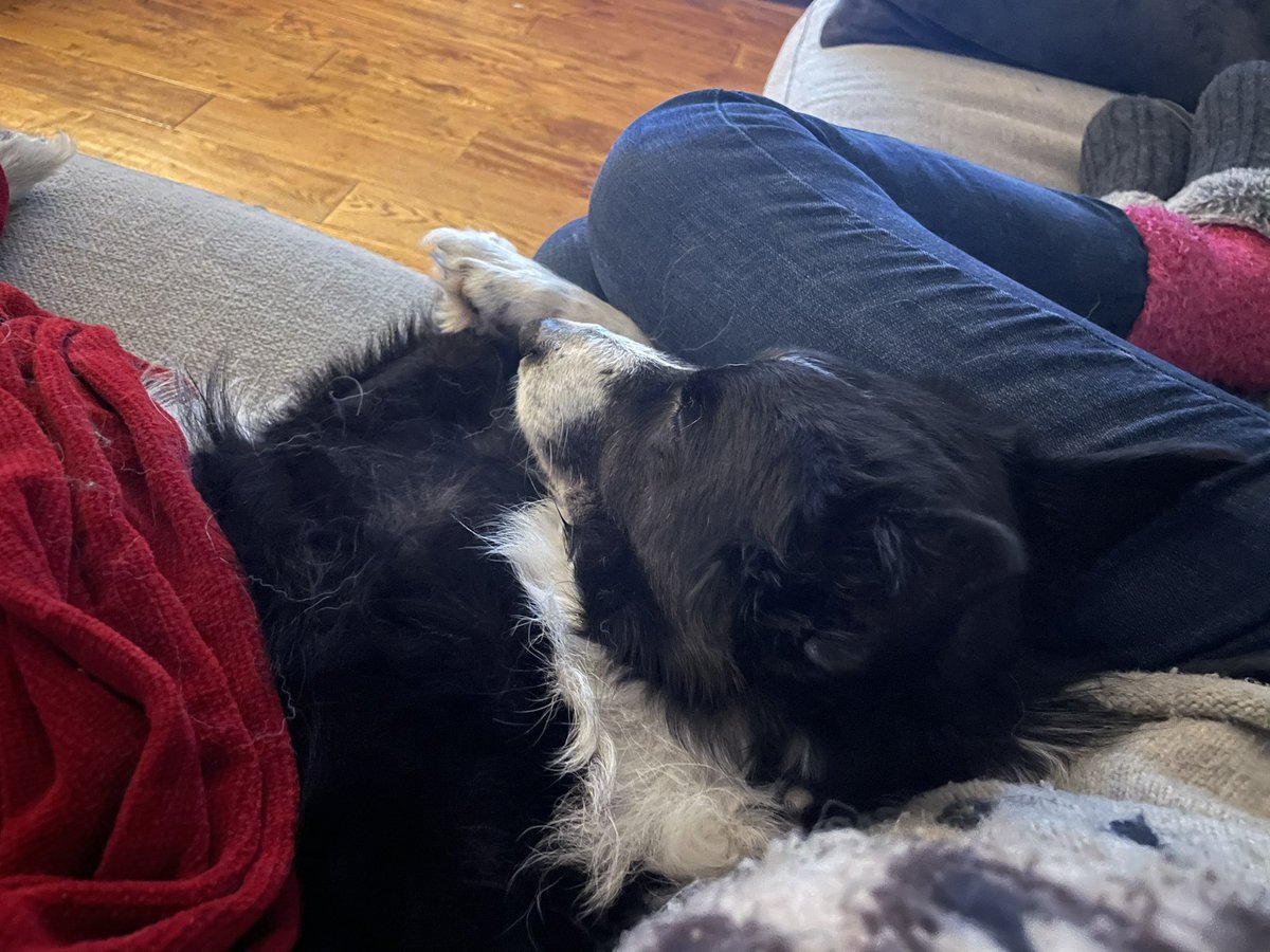 Humum has been away for a couple of days as her Nan passed away, so now she’s back I’m giving her lots of cuddles. 😘