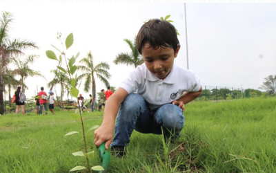 ambiental_foro's tweet photo. Auditorio: Dr. Alfredo Padilla Barba. Dpto. Medicina
viernes 28 de octubre https://t.co/jXAk43I37Q
10:45 a 11:00 Tema: "La forestación como elemento de Educación ambiental en el instituto tecnológico de Guaymas" Gerardo del Castillo Correa https://t.co/mYAu161ZuU