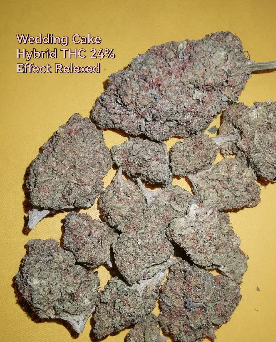 Getkit1's tweet image. OG​ งานดี​ ราคามิตรภาพ​  👍
==============
ชมสินค้าอื่นได้ที่​ shop.line.me/@597mponl
ติดต่อ​ Line : @597mponl
#กัญชา #ขายกัญชา #กัญชาเชียงใหม่ #กัญชาออแกนิค #กัญชากรุงเทพ #กัญชาโอจี​ #กัญชาog #กัญชาเสรี​ #marijuana #กัญชาอัดแท่ง