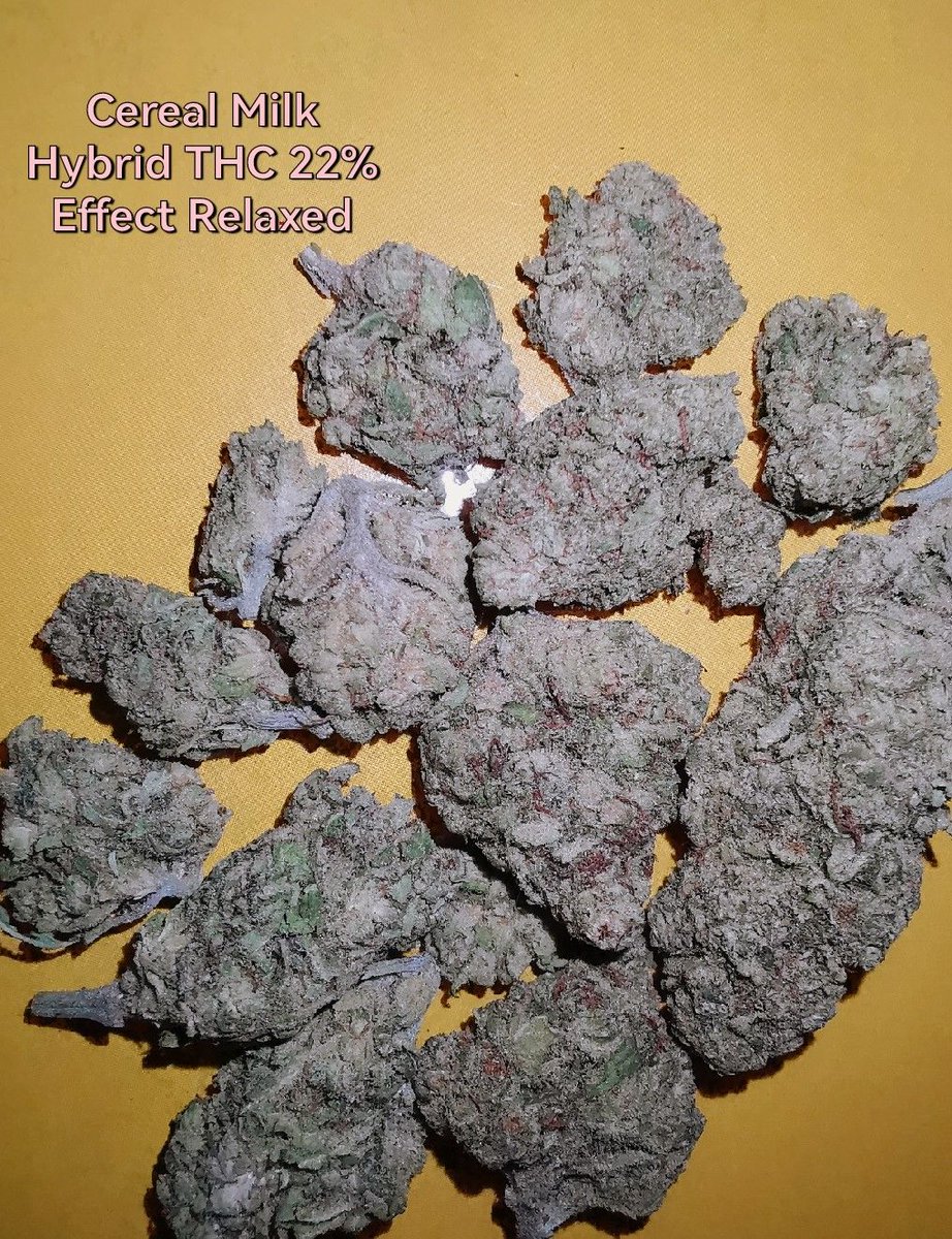 Getkit1's tweet image. OG​ งานดี​ ราคามิตรภาพ​  👍
==============
ชมสินค้าอื่นได้ที่​ shop.line.me/@597mponl
ติดต่อ​ Line : @597mponl
#กัญชา #ขายกัญชา #กัญชาเชียงใหม่ #กัญชาออแกนิค #กัญชากรุงเทพ #กัญชาโอจี​ #กัญชาog #กัญชาเสรี​ #marijuana #กัญชาอัดแท่ง