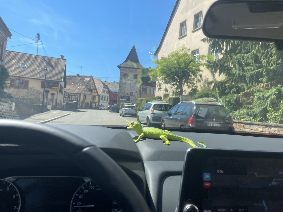 mrgreenlizard's tweet photo. No Šveices ieskrēju arī Francijā! Brīžiem kad nelīst lietus, saulē var pasildīt zaļo asti, līdz pat +23! Tūristi arī klīst vēl šortos un ķer Francijas dienvidu sauli. 🇫🇷☀️🦎 #riguewihr #france https://t.co/wghRDEHOpd