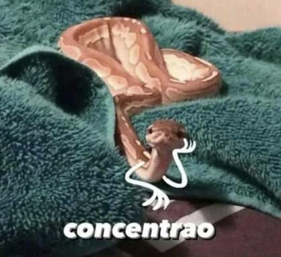 El Guarromántico tweet media