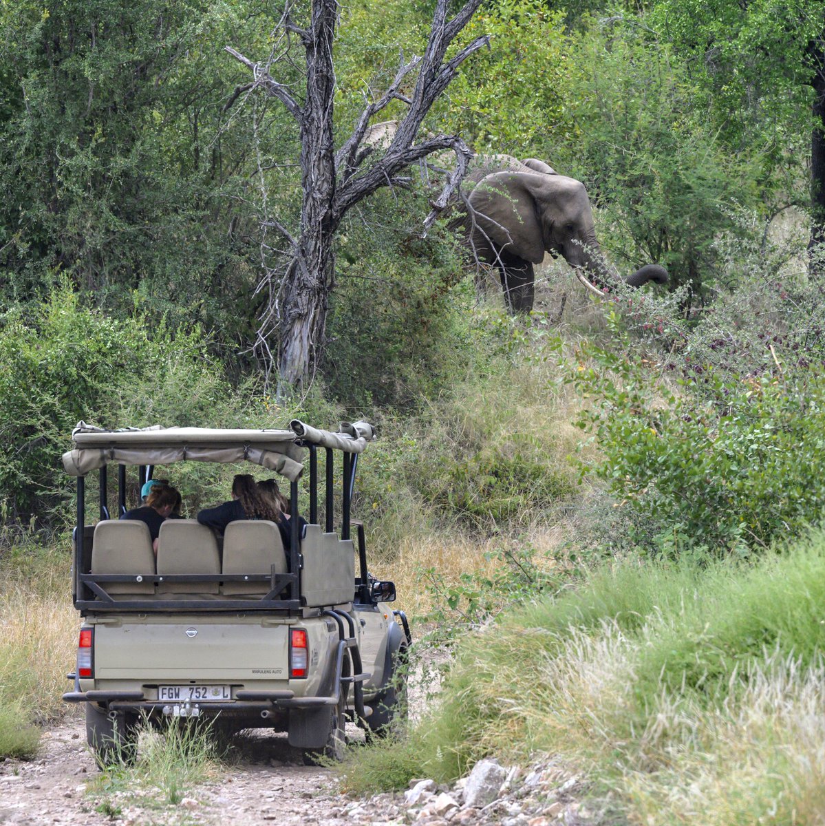 GoAbroad.com tweet media