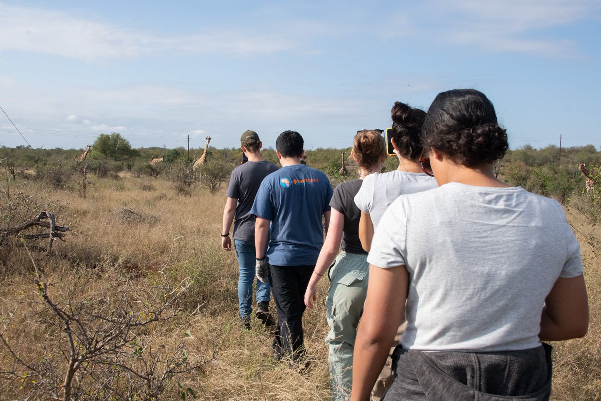 GoAbroad.com tweet media