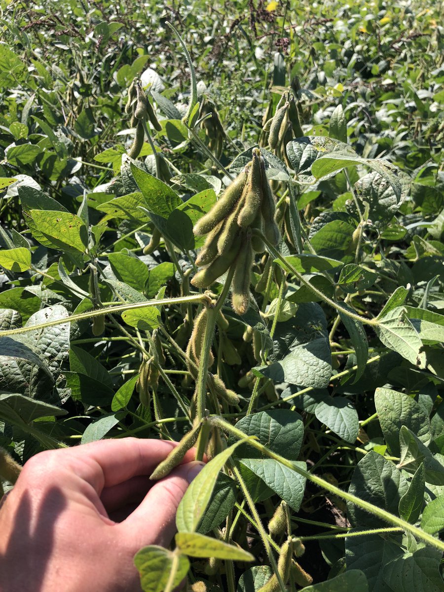 Adrian Lee tweet media