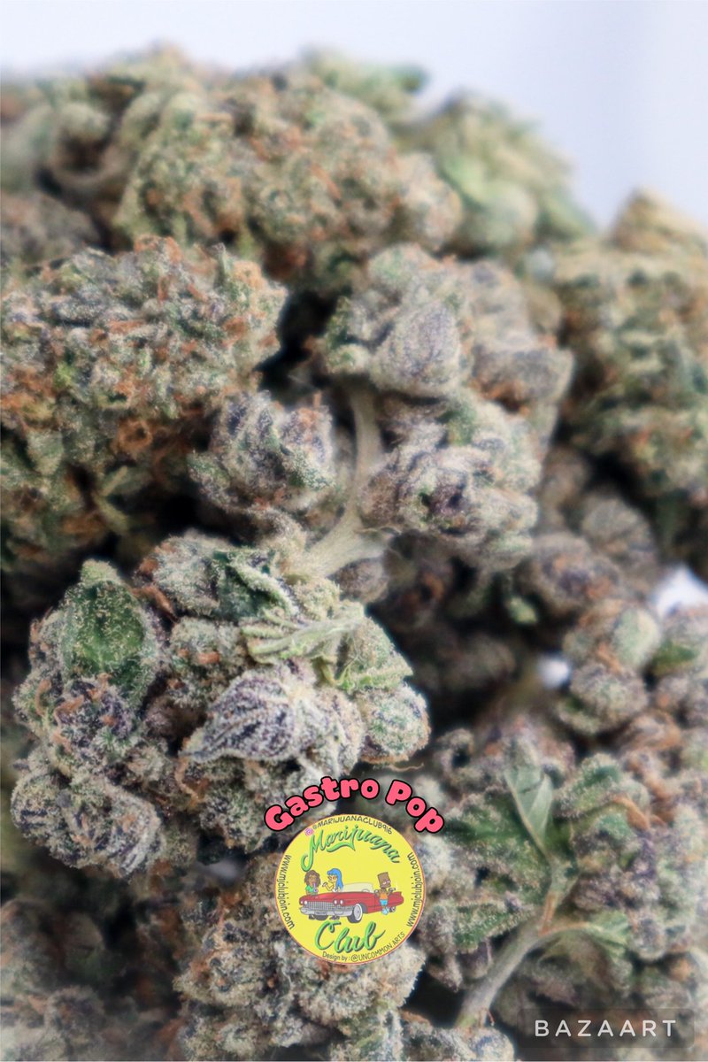 rushgreen15's tweet photo. ‼️New Drop This Week‼️

Follow me on Instagram: @marijuanaclub.916 
Text me: 916-519-9848
Follow me on Twitter: @rushgreen15
Follow my YouTube Page: marijuana club 916
go to my website @ https://t.co/uTHbsemo9c https://t.co/9WzUY8X9Px