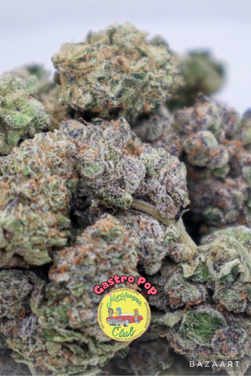 rushgreen15's tweet photo. ‼️New Drop This Week‼️

Follow me on Instagram: @marijuanaclub.916 
Text me: 916-519-9848
Follow me on Twitter: @rushgreen15
Follow my YouTube Page: marijuana club 916
go to my website @ https://t.co/uTHbsemo9c https://t.co/9WzUY8X9Px