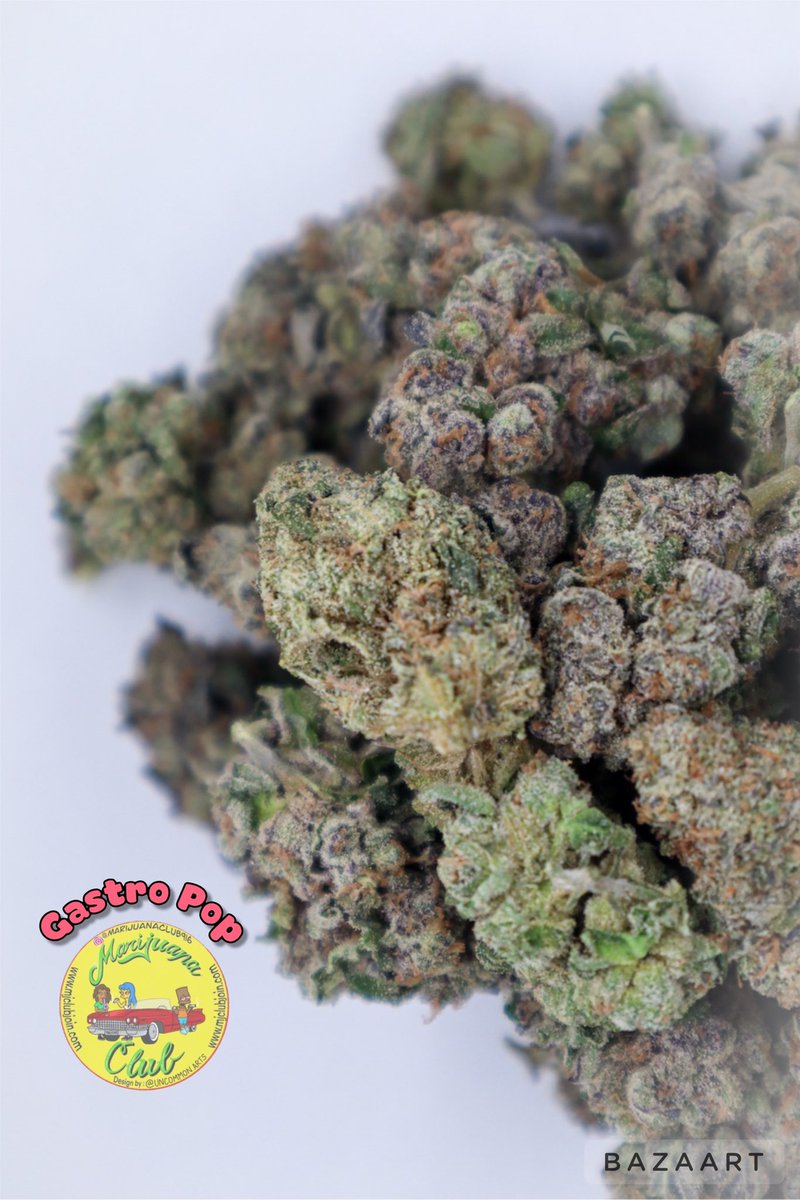rushgreen15's tweet photo. ‼️New Drop This Week‼️

Follow me on Instagram: @marijuanaclub.916 
Text me: 916-519-9848
Follow me on Twitter: @rushgreen15
Follow my YouTube Page: marijuana club 916
go to my website @ https://t.co/uTHbsemo9c https://t.co/9WzUY8X9Px