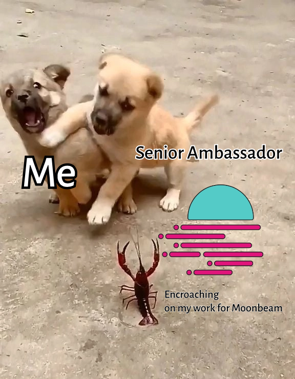 maikstoun's tweet photo. Me and Senior Ambassador #moonbeamnetwork @MoonbeamNetwork @MoonbeamRussia #ambassadormoonbeam https://t.co/o3X6pqE3NW