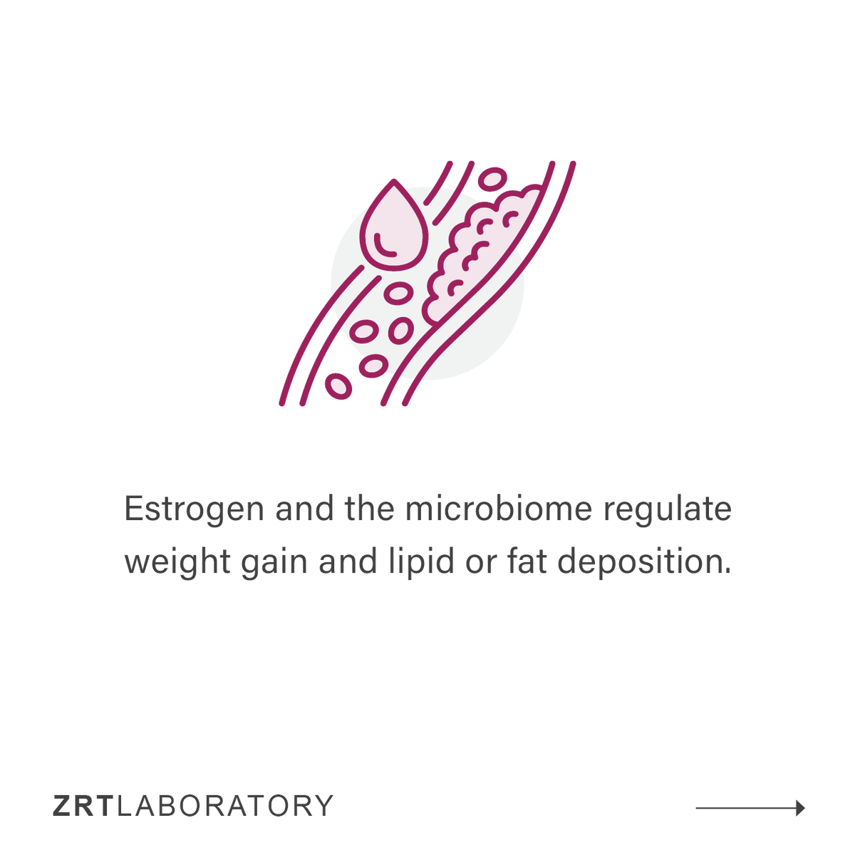 ZRTLab's tweet photo. The microbiome we have in our GI tract are certainly important for digestive health. But it turns out these tiny microorganisms also play other vital roles in our health.
#zrtlab #yourlabofchoice #hormonebalance #hormones #healthandwellness #guthealth https://t.co/386Naxap43