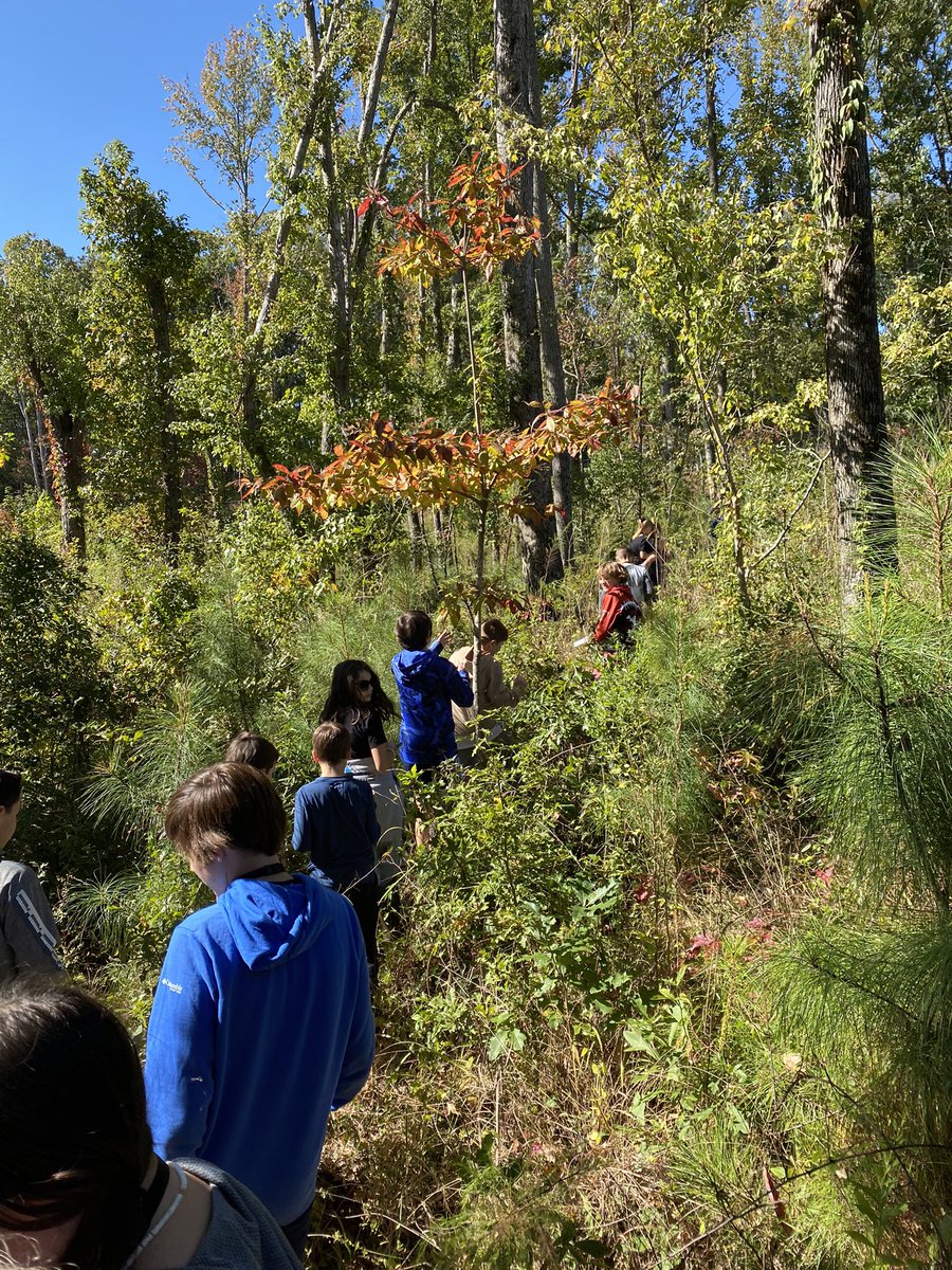 EarthLms's tweet photo. When youβve got a great wildlife corridor on campus there is so much you can do with native plants and forestry. Really excited to start native plant ID unit with students and have a Clemson Master Gardener work with our students next week! #agclass https://t.co/Q9UtlowFHq